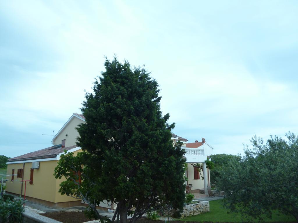 Bed&Breakfast Vanni Privlaka Kültér fotó